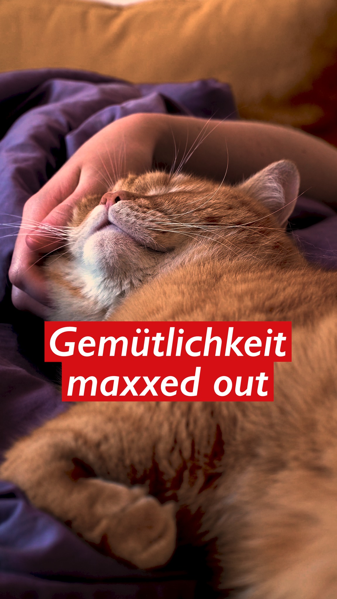 „Einen Kamin verbinde ich einfach mit Gemütlichkeit." Eine unserer Kundinnen erzählt, woher ihre Verbindung zum Kaminofen kommt. Aufgewachsen ist sie mit einem Kamin bei ihren Eltern, eine Erfahrung, die bis heute nachwirkt. Im Winter draußen reinkommen, wenn es kalt war, und drinnen brannte schon ein Feuer. Man legte sich auf die Couch, ein Buch in der Hand, und dazu diese besondere Wärme spüren und das Feuer knistern hören. Genau dieses Gefühl war für sie ein wichtiger Grund, sich auch im eigenen Zuhause für einen Kaminofen zu entscheiden. 📍 Hanau · Oberursel · Wiesbaden 🔗 Link in der Bio